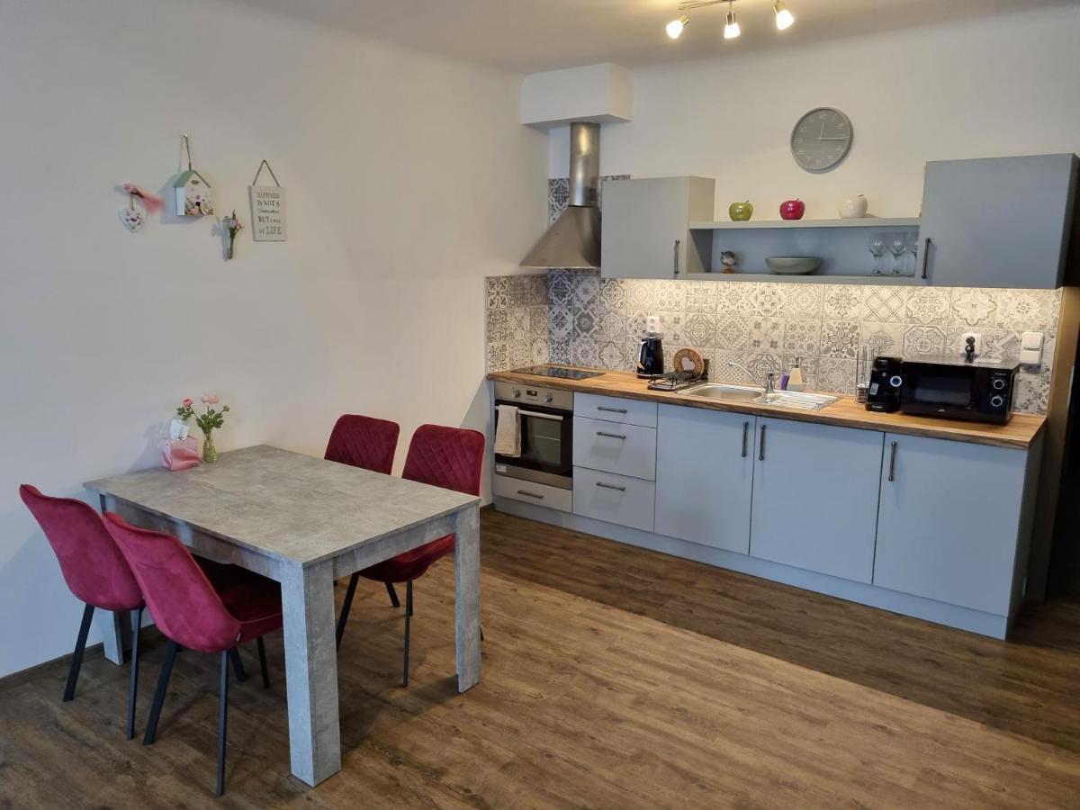 Velke Studio Na Velkem Namesti S Vybavenou Kuchyni Hradec Kralove Luaran gambar